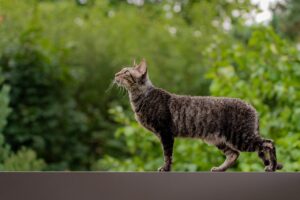 デジタルデトックス合宿の効果とおすすめプログラムは？