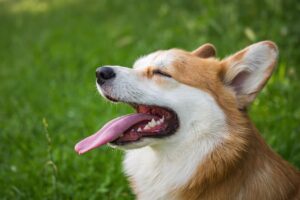 ウェルネスリトリートの効果を最大限に引き出す方法は？