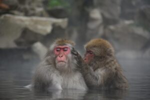 温泉がもたらす美容効果とは？