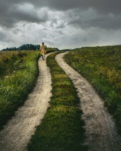 一人旅で楽しむ美容旅行、エステ付き宿は関西のどこにある？